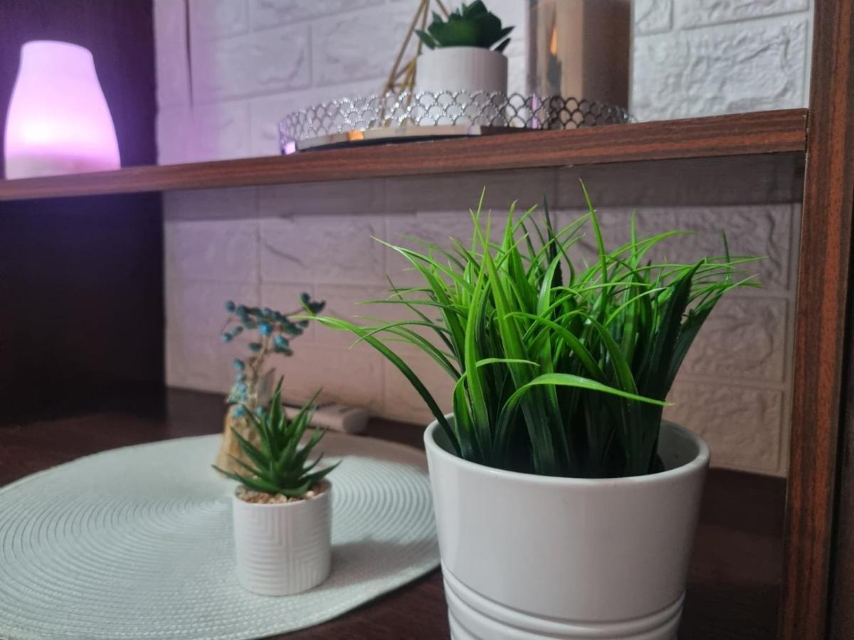 شقة روس  في Iris Opera Center المظهر الخارجي الصورة